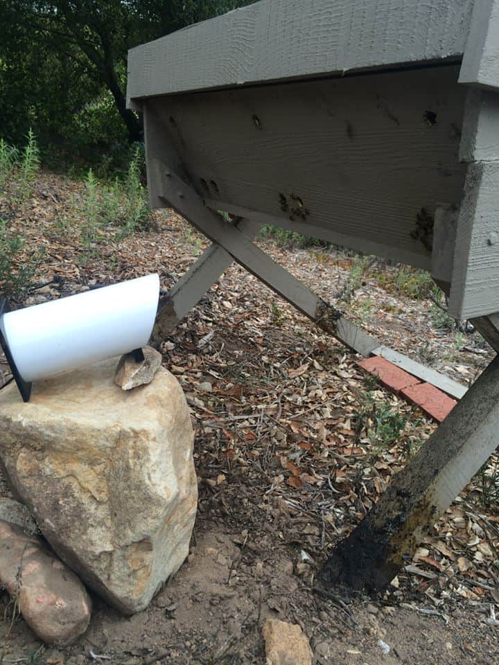 Eyesonhives monitoring a Top Bar hive