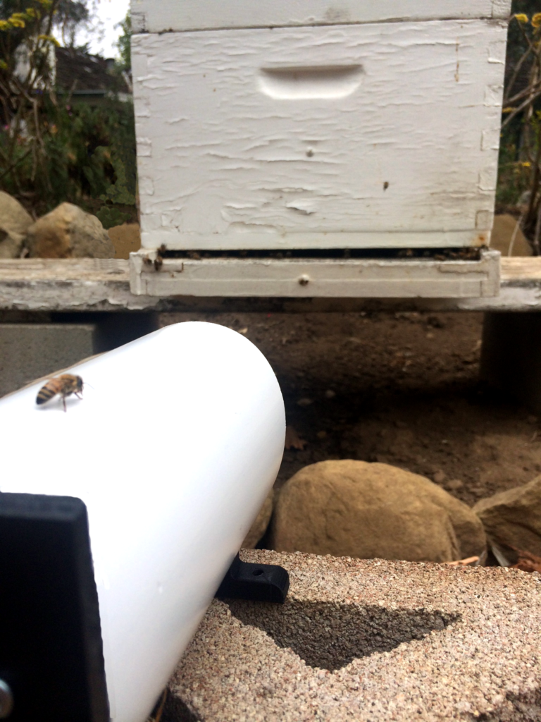Bees like Eyesonhives