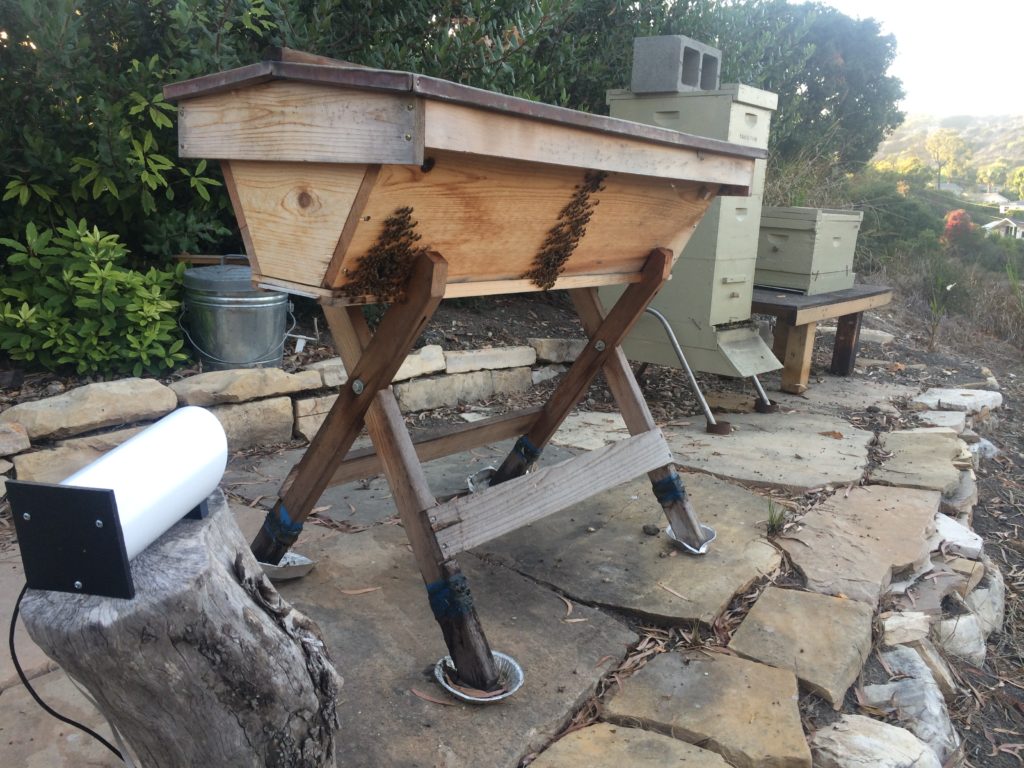 Eyesonhives viewing a top bar hive