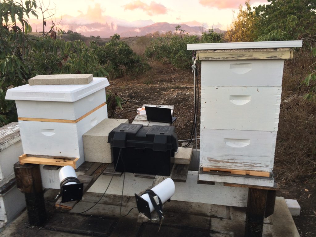 Eyesonhives with Solar Power Kit