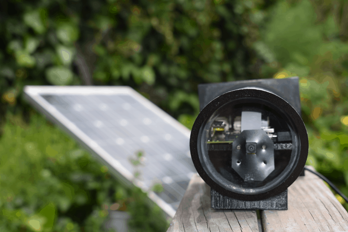 Remote Bee Monitoring