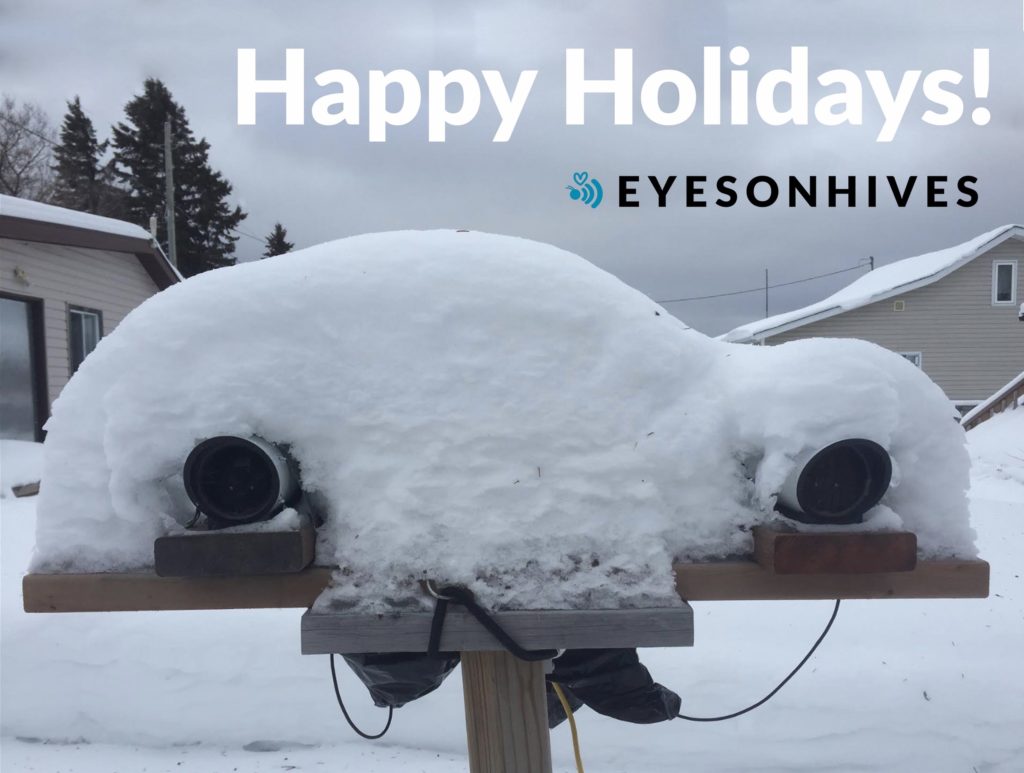 Two Eyesonhives bee monitor devices covered in snow