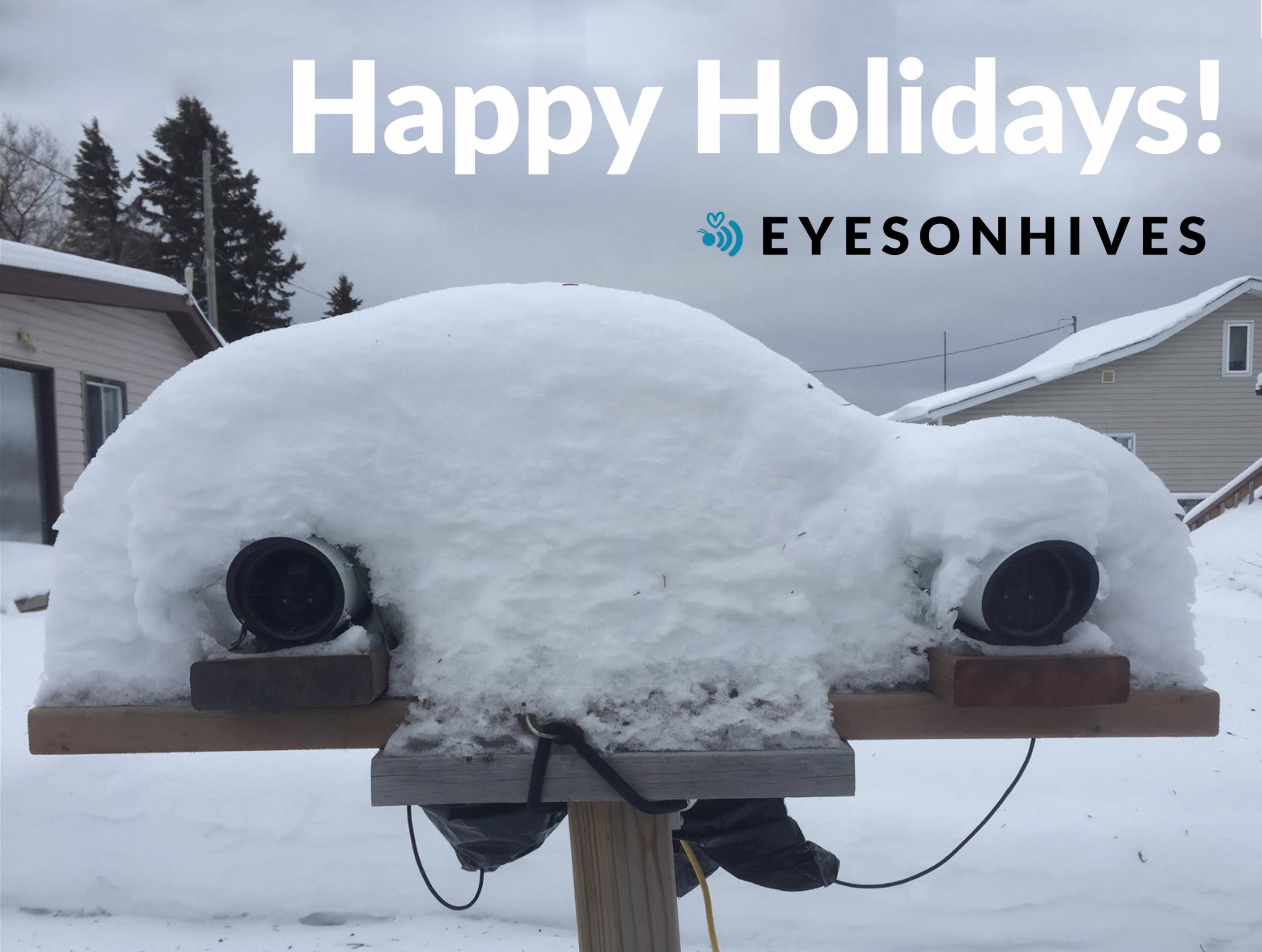 Two Eyesonhives bee monitor devices covered in snow