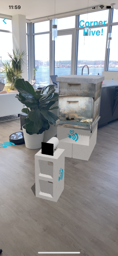 See a beehive in your living room